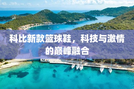 木已向晚 第22页