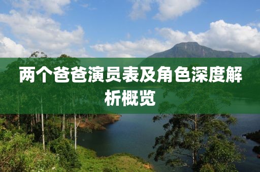 两个爸爸演员表及角色深度解析概览