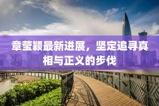 章莹颖最新进展，坚定追寻真相与正义的步伐