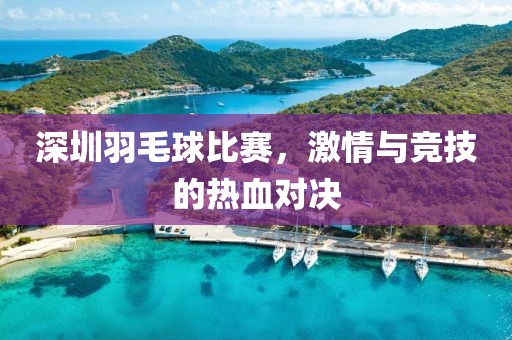 深圳羽毛球比赛，激情与竞技的热血对决