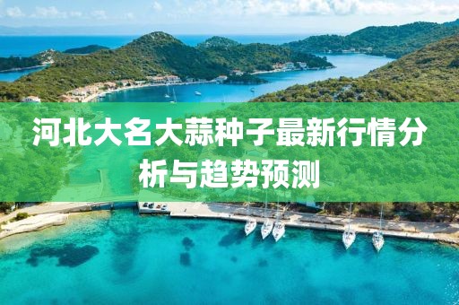 河北大名大蒜种子最新行情分析与趋势预测