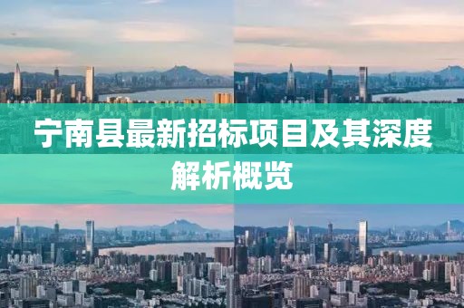 宁南县最新招标项目及其深度解析概览