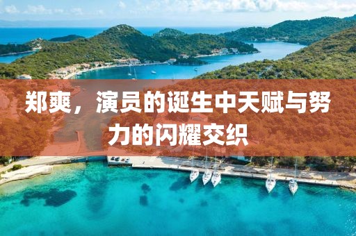 郑爽，演员的诞生中天赋与努力的闪耀交织
