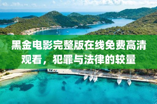黑金电影完整版在线免费高清观看，犯罪与法律的较量