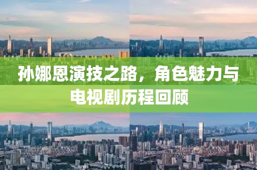 孙娜恩演技之路，角色魅力与电视剧历程回顾