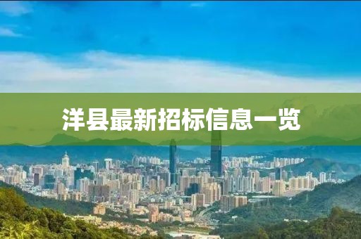 洋县最新招标信息一览