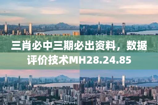 三肖必中三期必出资料，数据评价技术MH28.24.85