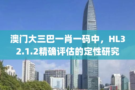 澳门大三巴一肖一码中，HL32.1.2精确评估的定性研究