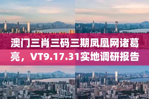 澳门三肖三码三期凤凰网诸葛亮，VT9.17.31实地调研报告
