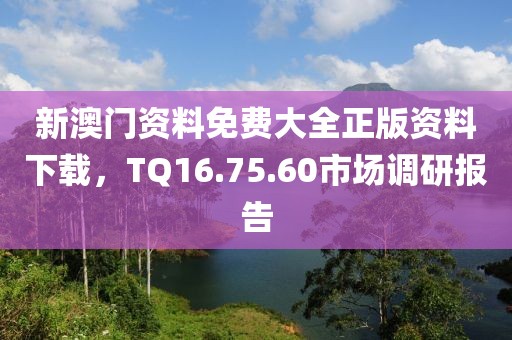 新澳门资料免费大全正版资料下载，TQ16.75.60市场调研报告