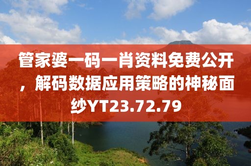 管家婆一码一肖资料免费公开，解码数据应用策略的神秘面纱YT23.72.79