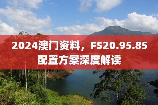 2024澳门资料，FS20.95.85配置方案深度解读