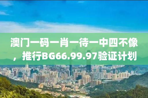 澳门一码一肖一待一中四不像，推行BG66.99.97验证计划