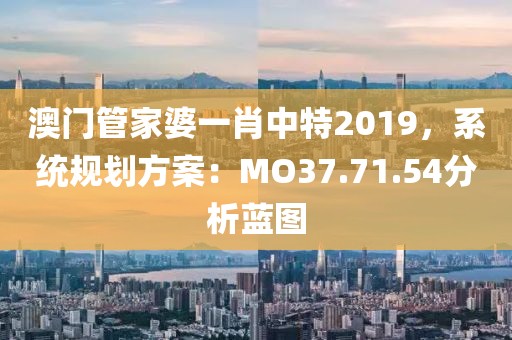 澳门管家婆一肖中特2019，系统规划方案：MO37.71.54分析蓝图