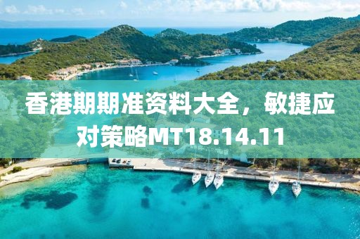 香港期期准资料大全，敏捷应对策略MT18.14.11