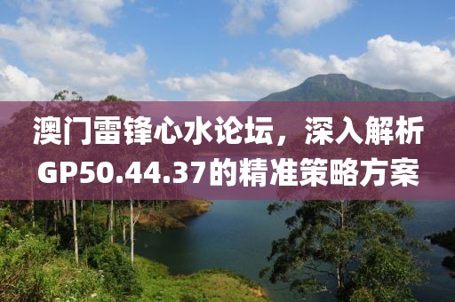 澳门雷锋心水论坛，深入解析GP50.44.37的精准策略方案