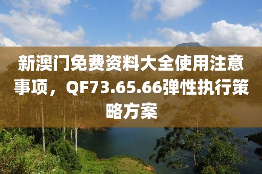 新澳门免费资料大全使用注意事项，QF73.65.66弹性执行策略方案