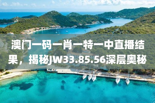 澳门一码一肖一特一中直播结果，揭秘JW33.85.56深层奥秘
