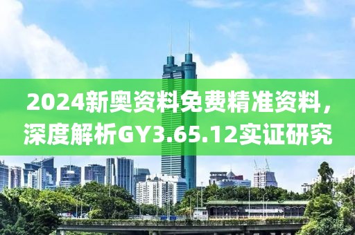 2024新奥资料免费精准资料，深度解析GY3.65.12实证研究