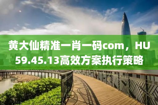 黄大仙精准一肖一码com，HU59.45.13高效方案执行策略