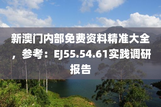新澳门内部免费资料精准大全，参考：EJ55.54.61实践调研报告