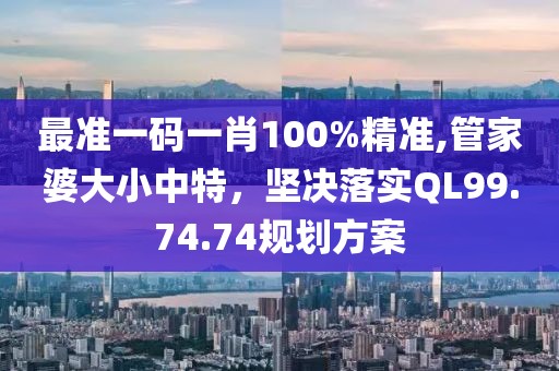 最准一码一肖100%精准,管家婆大小中特，坚决落实QL99.74.74规划方案