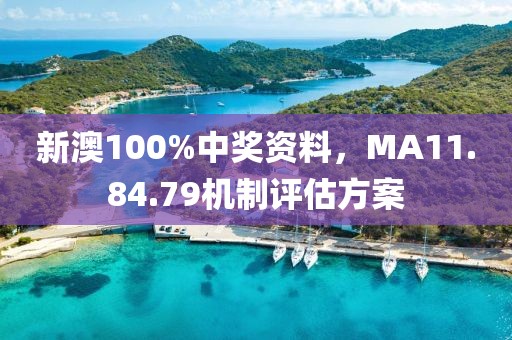 新澳100%中奖资料，MA11.84.79机制评估方案
