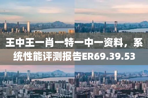 王中王一肖一特一中一资料，系统性能评测报告ER69.39.53
