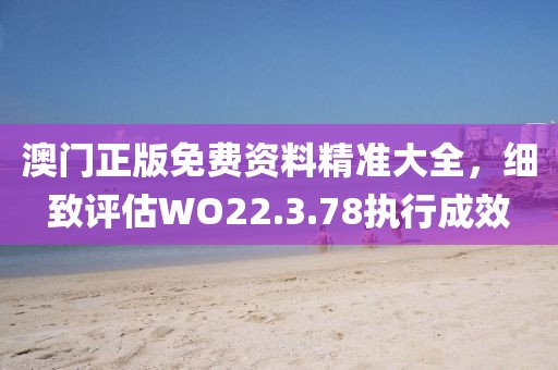 澳门正版免费资料精准大全，细致评估WO22.3.78执行成效