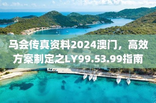 马会传真资料2024澳门，高效方案制定之LY99.53.99指南