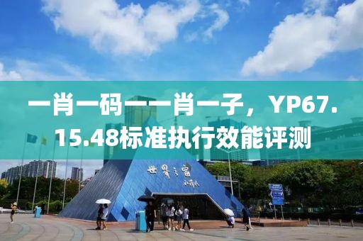 一肖一码一一肖一子，YP67.15.48标准执行效能评测