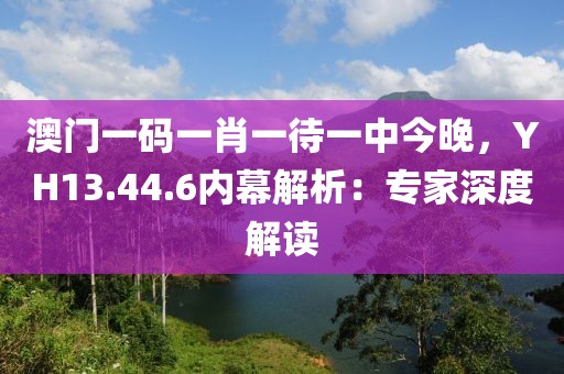 澳门一码一肖一待一中今晚，YH13.44.6内幕解析：专家深度解读