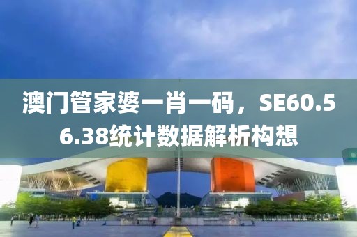 澳门管家婆一肖一码，SE60.56.38统计数据解析构想