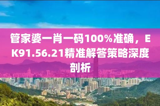 管家婆一肖一码100%准确，EK91.56.21精准解答策略深度剖析
