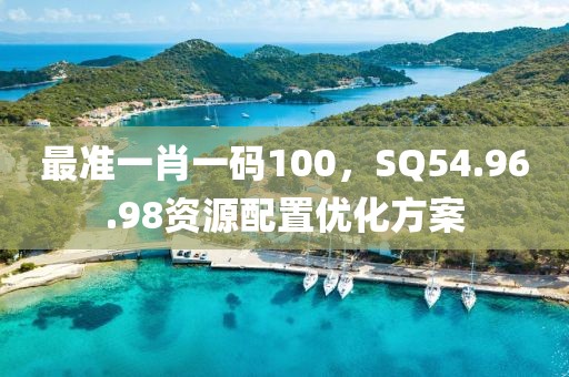 最准一肖一码100，SQ54.96.98资源配置优化方案