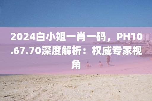 2024白小姐一肖一码，PH10.67.70深度解析：权威专家视角