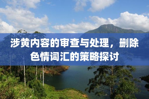 涉黄内容的审查与处理，删除色情词汇的策略探讨