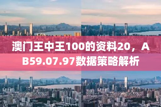 澳门王中王100的资料20，AB59.07.97数据策略解析