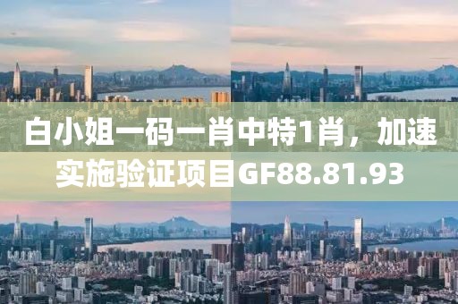 白小姐一码一肖中特1肖，加速实施验证项目GF88.81.93