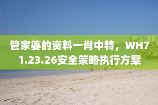 管家婆的资料一肖中特，WH71.23.26安全策略执行方案