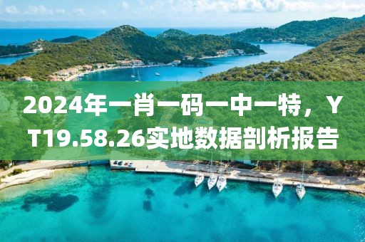 2024年一肖一码一中一特，YT19.58.26实地数据剖析报告
