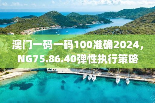 澳门一码一码100准确2024，NG75.86.40弹性执行策略