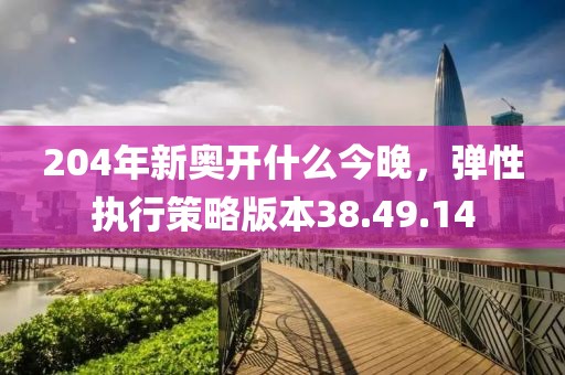 204年新奥开什么今晚，弹性执行策略版本38.49.14