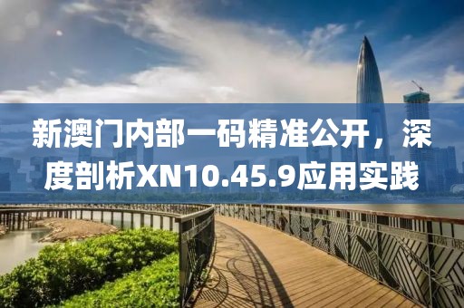 新澳门内部一码精准公开，深度剖析XN10.45.9应用实践