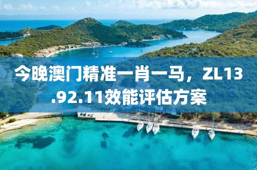 今晚澳门精准一肖一马，ZL13.92.11效能评估方案