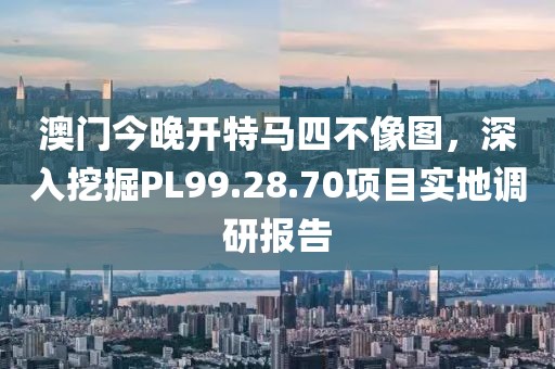 澳门今晚开特马四不像图，深入挖掘PL99.28.70项目实地调研报告