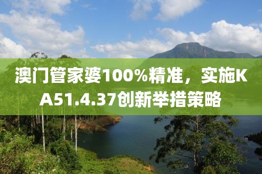 澳门管家婆100%精准，实施KA51.4.37创新举措策略