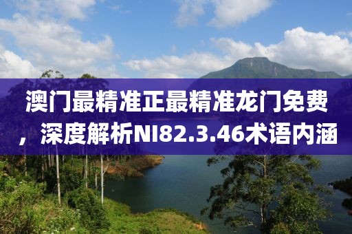澳门最精准正最精准龙门免费，深度解析NI82.3.46术语内涵