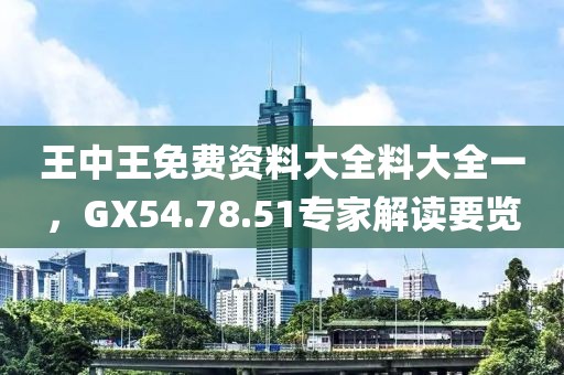 王中王免费资料大全料大全一，GX54.78.51专家解读要览