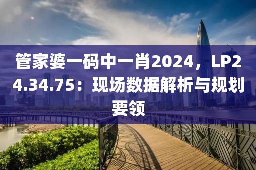 管家婆一码中一肖2024，LP24.34.75：现场数据解析与规划要领